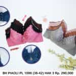 bh piaoli pl 1099 36-42 hak 3