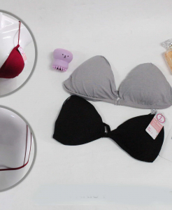BH TERLARIS/BRA LAPARIS W1